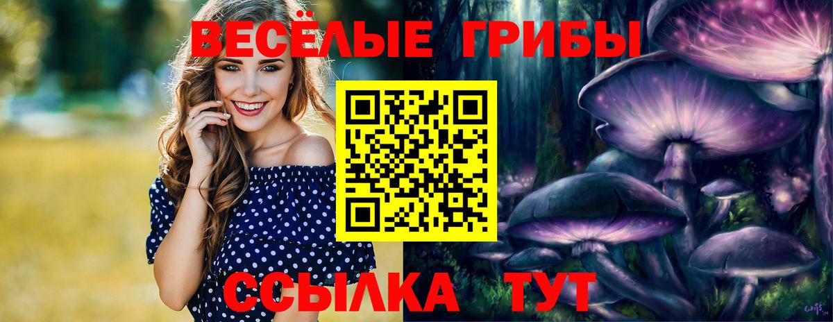 Галлюциногенные грибы ЛСД  Вход с VPN  Киров 